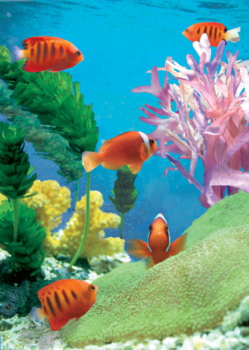BC102 - Blank Fish Tank Greeting Card by Max Hernn